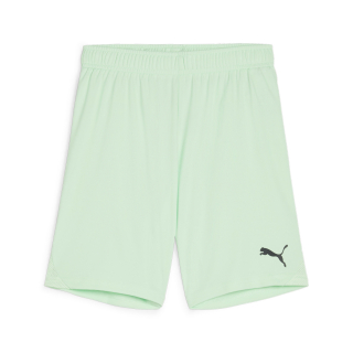 teamGOAL Shorts Jr Fresh Mint-PUMA Black