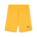 teamGOAL Shorts Jr Sun Stream-PUMA Black