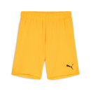 teamGOAL Short Junior Sun Stream-PUMA Black