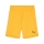 teamGOAL Shorts Jr Sun Stream-PUMA Black