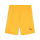 teamGOAL Short Junior Sun Stream-PUMA Black