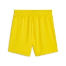 teamGOAL Damen-Short Faster Yellow-PUMA Black