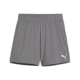 teamGOAL Damen-Short Cast Iron-PUMA White