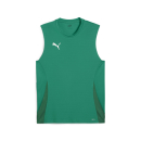 teamGOAL Sleeveless Trikot Sport Green-PUMA White-Power...