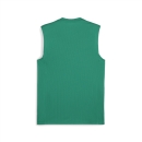 teamGOAL Sleeveless Trikot Sport Green-PUMA White-Power...