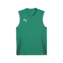 teamGOAL Sleeveless Jersey Sport Green-PUMA White-Power...