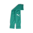 teamGOAL Sleeve Sock Sport Green-PUMA White