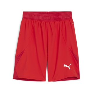 Puma hot sale shorts 3xl