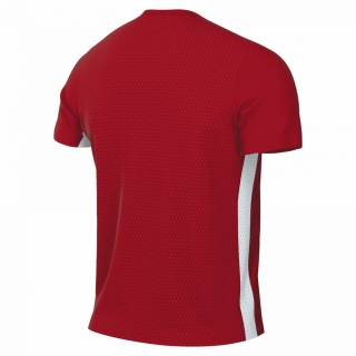 Nike Trikot CHALLENGE V FD7412