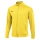 Training Jacket ACADEMY PRO 24 tour yellow