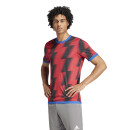 Trikot REVERSIBLE 24 royalblau/rot