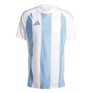 Jersey STRIPED 24 team light blue/white