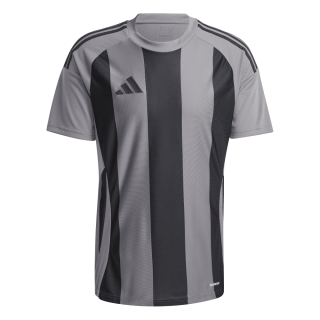 Jersey STRIPED 24 team grey four/black