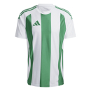 Jersey STRIPED 24 white/team green