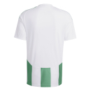 Jersey STRIPED 24 white/team green