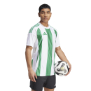 Jersey STRIPED 24 white/team green