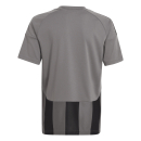 Youth-Jersey STRIPED 24 team grey four/black