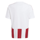 Youth-Jersey STRIPED 24 white/team power red