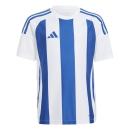 Kinder-Trikot STRIPED 24 weiß/royalblau