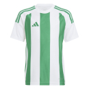 Youth-Jersey STRIPED 24 white/team green