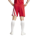 Youth-Short FORTORE 23 team power red/white