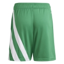Youth-Short FORTORE 23 team green/white