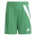 Youth-Short FORTORE 23 team green/white