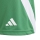 Youth-Short FORTORE 23 team green/white