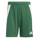 Short TIRO 24 team dark green/white