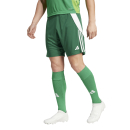 Short TIRO 24 team dark green/white