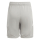 Youth-Short TIRO 24 team mid grey/white