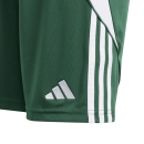 Youth-Short TIRO 24 team dark green/white