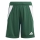 Youth-Short TIRO 24 team dark green/white