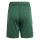 Youth-Short TIRO 24 team dark green/white