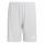 Youth-Short SQUADRA 21 team light grey/white