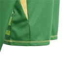 Youth-Goalkeeper-Jersey TIRO 24 COMPETITION team green