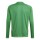 Youth-Goalkeeper-Jersey TIRO 24 COMPETITION team green