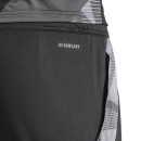 Training Short TIRO 24 COMPETITION black/team dark grey