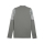 teamCUP Trainingsjacke Flat Medium Gray-PUMA Silver-Flat Light Gray