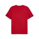 teamCUP Trainingsshirt PUMA Red-PUMA Silver-Dark Cherry