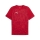 teamCUP Trainingsshirt PUMA Red-PUMA Silver-Dark Cherry