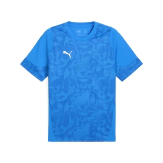 teamCUP Trainingsshirt Electro Royal-PUMA Silver-PUMA Team Royal