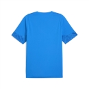 teamCUP Training Jersey Electro Royal-PUMA Silver-PUMA...