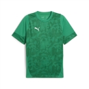 teamCUP Training Jersey Sport Green-PUMA Silver-Power Green