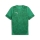 teamCUP Training Jersey Sport Green-PUMA Silver-Power Green