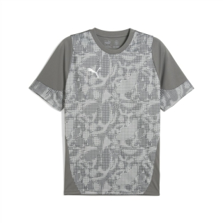 teamCUP Trainingsshirt Flat Medium Gray-PUMA Silver-Flat Light Gray