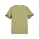 teamCUP Training Jersey Calming Green-PUMA Silver-PUMA Olive