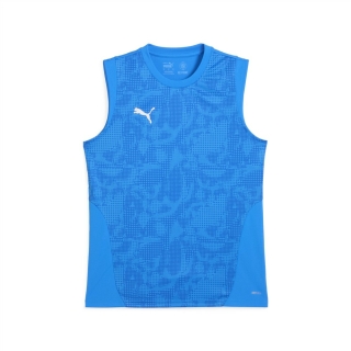 teamCUP Training Sleeveless Jersey Electro Royal-PUMA Silver-PUMA Team Royal