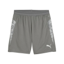 teamCUP Trainingsshort Flat Medium Gray-PUMA Silver-Flat...