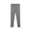 teamCUP Trainingshose Flat Medium Gray-PUMA Silver-Flat...